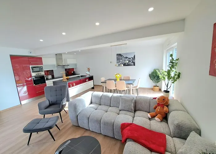 Chez Fernand A Maison Neuve Confort Avec Jardin Et Parking Inclus Colmar